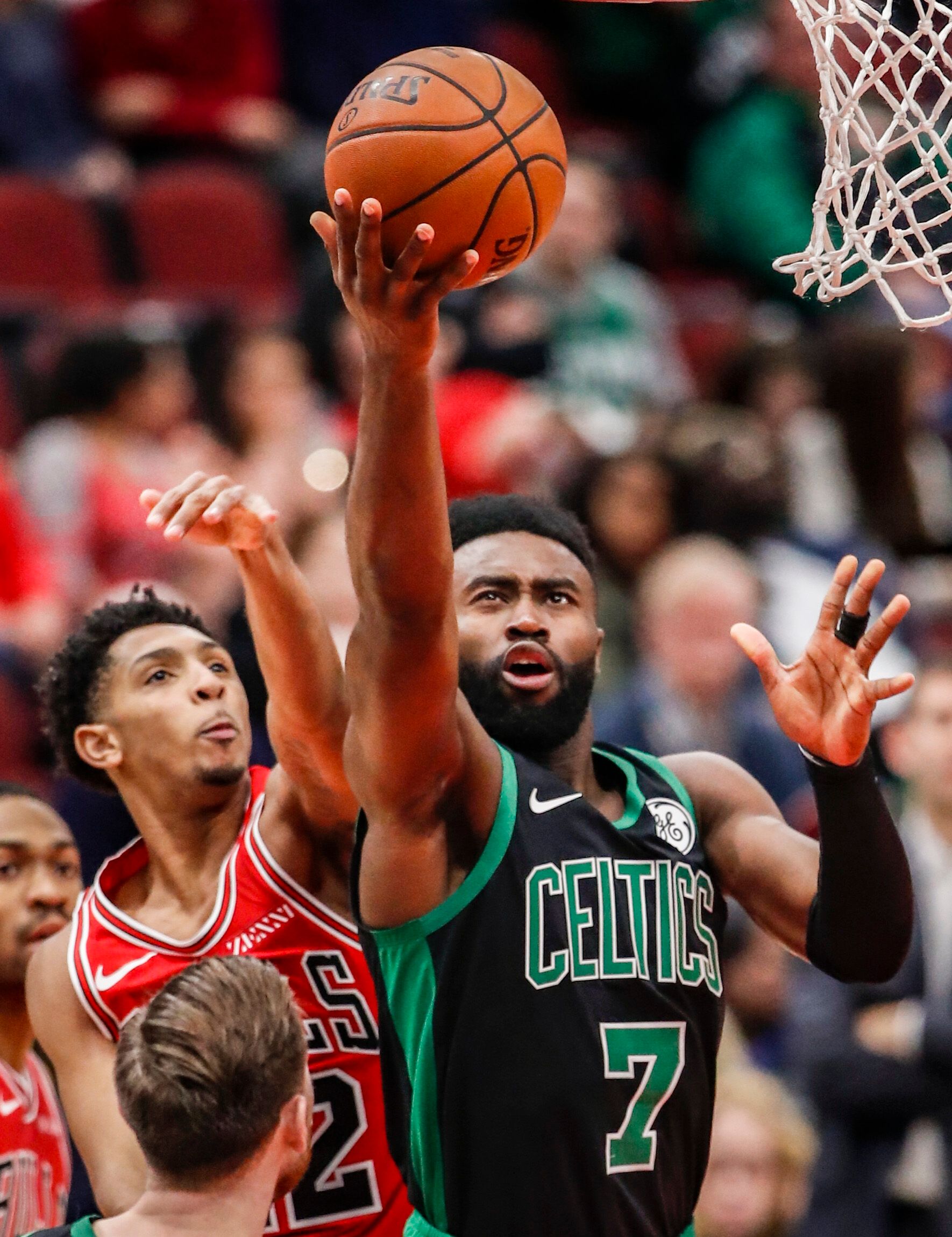 油脂机械预处理设备