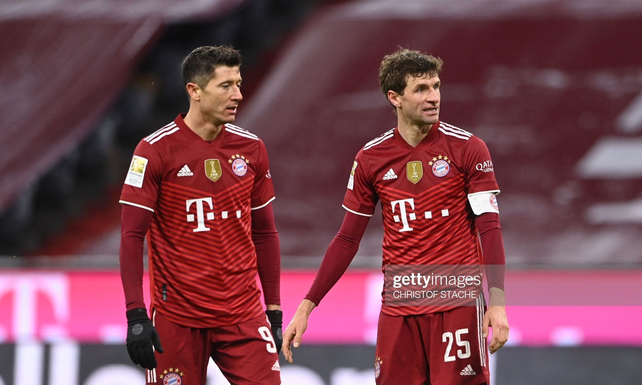 葵花籽榨油机设备